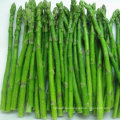 IQF Frozen Green Asparagus Spears, Center Cuts